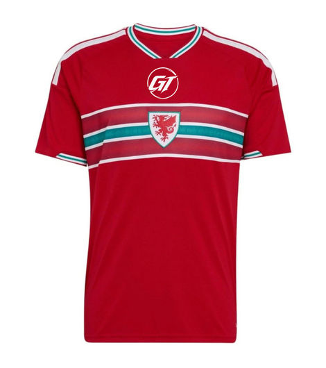 Camiseta Gales 2026