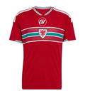 Camiseta Gales 2026