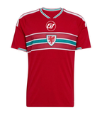 Camiseta Gales 2026
