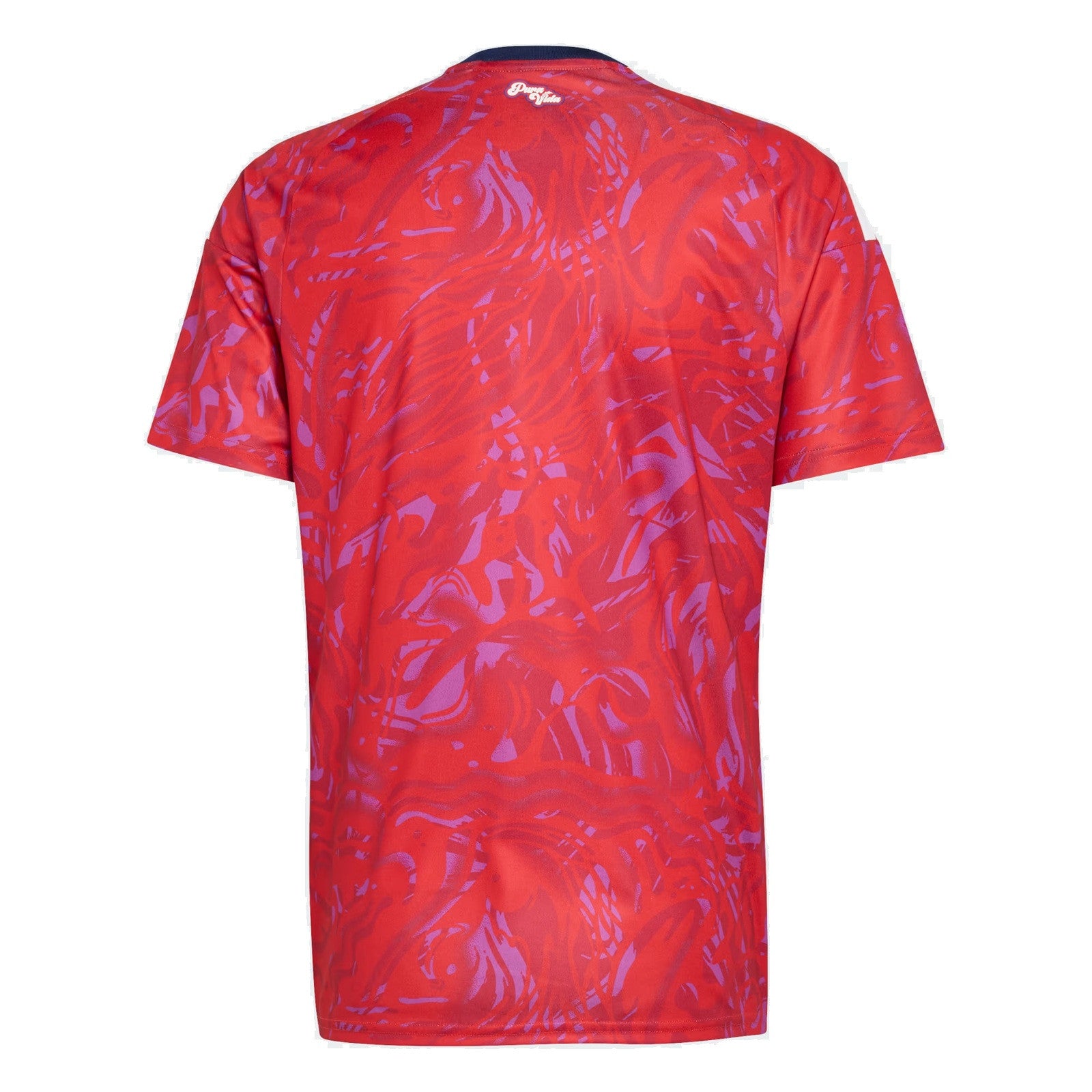 Camiseta Costa Rica 2026