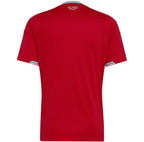 Camiseta Gales 2026